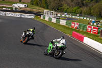 Middle Group Green Bikes